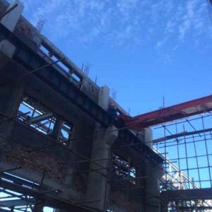 ���x���������˾���ؙC���b�F�� installation site image of Longhui crane powe ...